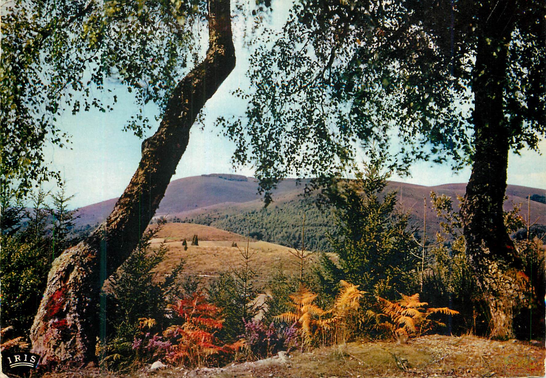 CPM en Correze les Monedieres le Limousin Pittoresque