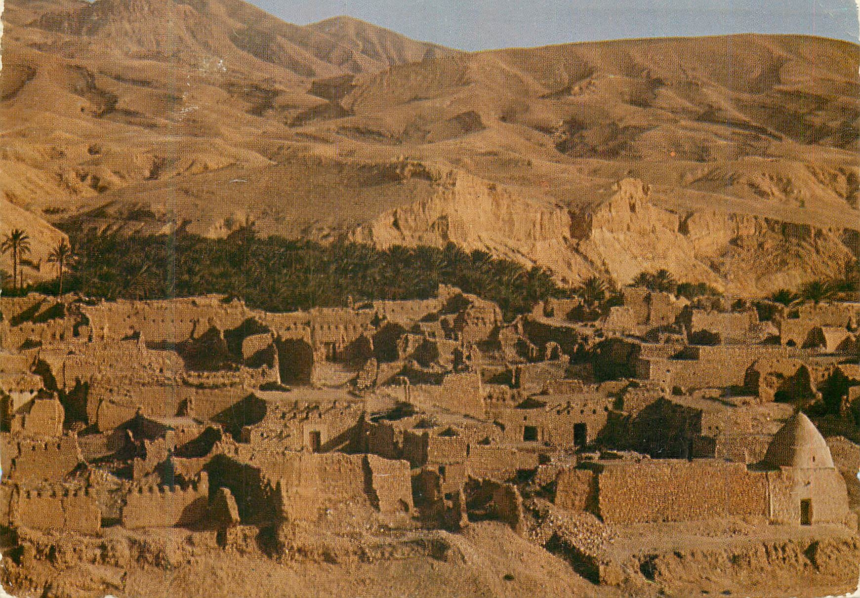 CPM Tunisie Tamerza Oasis de Montagne