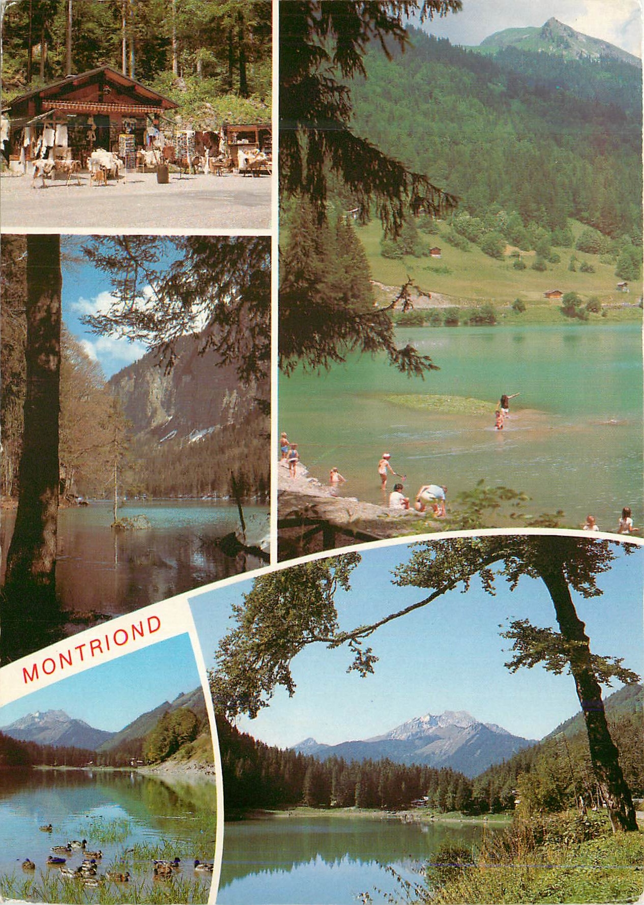 CPM Lac de Montriond (Haute Savoie) Morzine