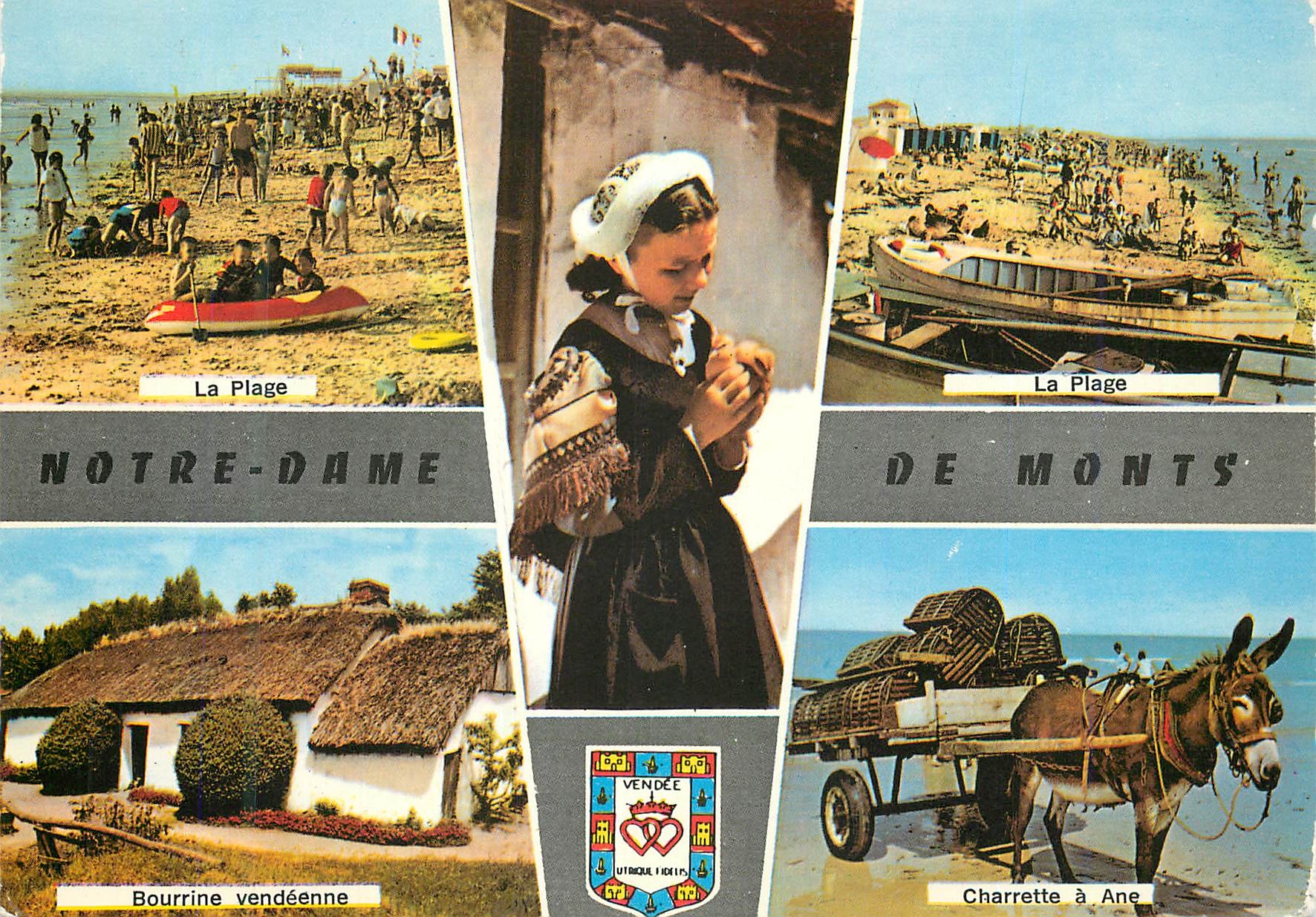 Notre-Dame-de-Monts — The Beach, Bourrine Vendéenne, Donkey Cart — Artaud Frères, Nantes