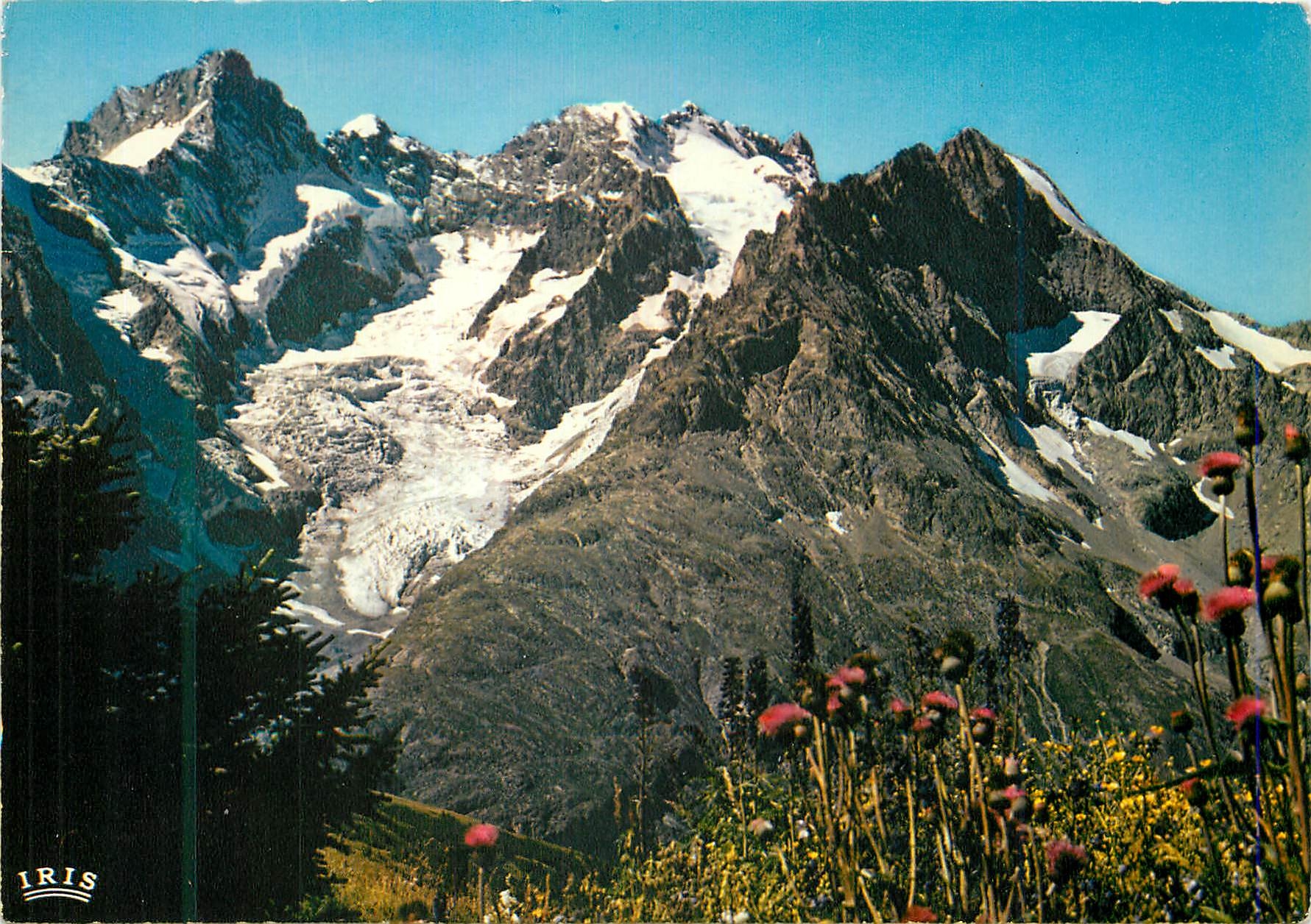 Col du Lautaret (H.A.) — Pic Gaspard und Meije vom Alpinen Garten — IRIS