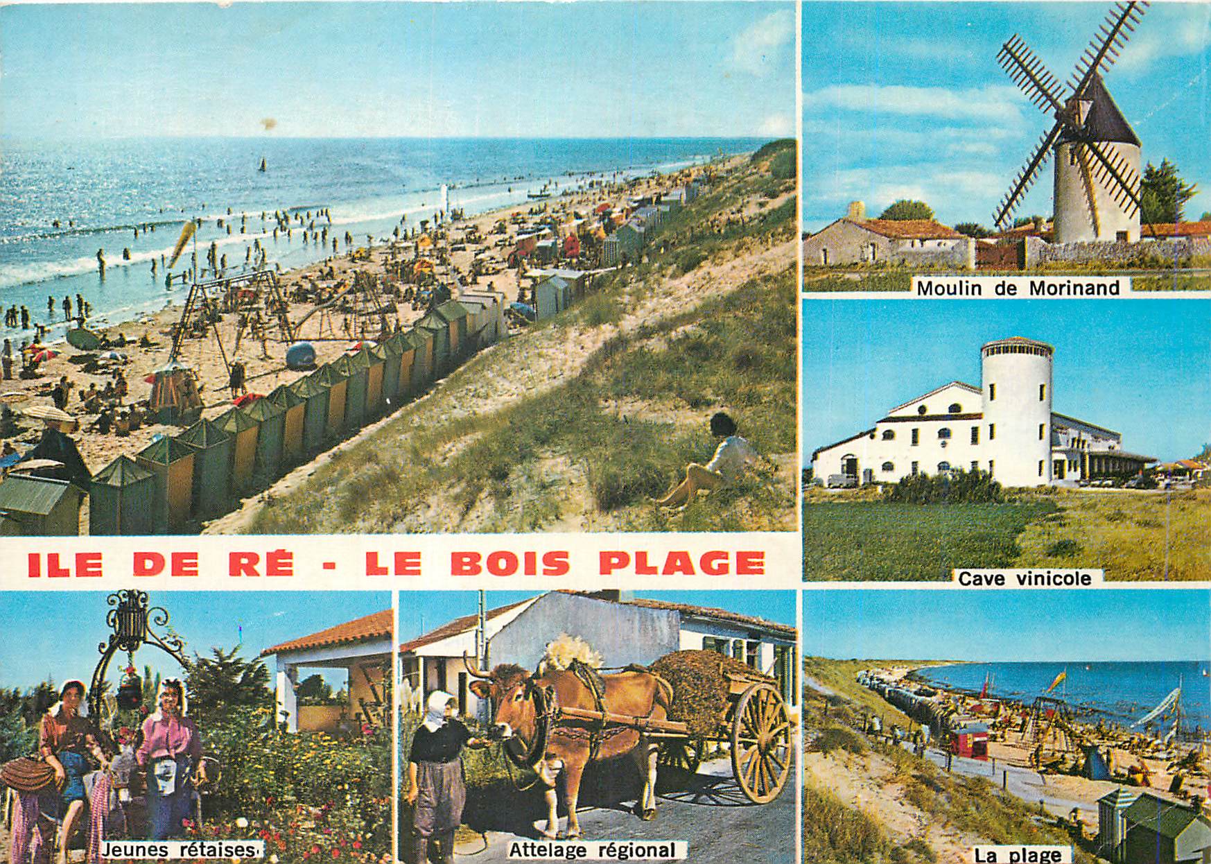 CPM Ile de Re (Charente Maritime) le Bois Plage Moulin de Morinand Jeunes retaises Attelage regional La plage