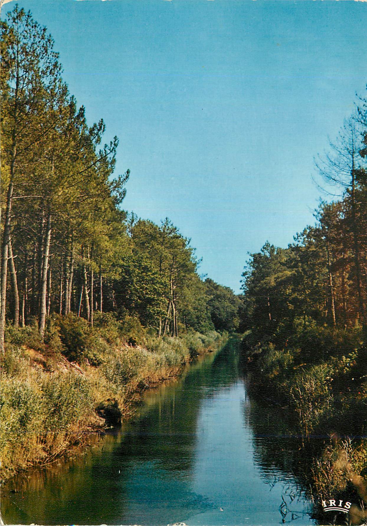 CPM les Landes le Courant dans les Pins
