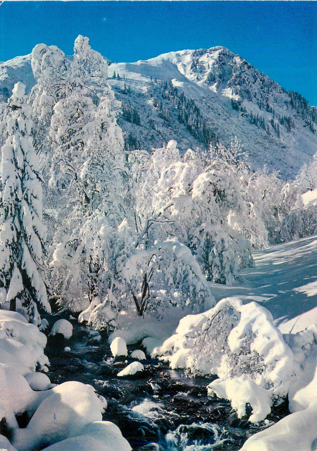 CPM Neige et Soleil Feerie Hivernale