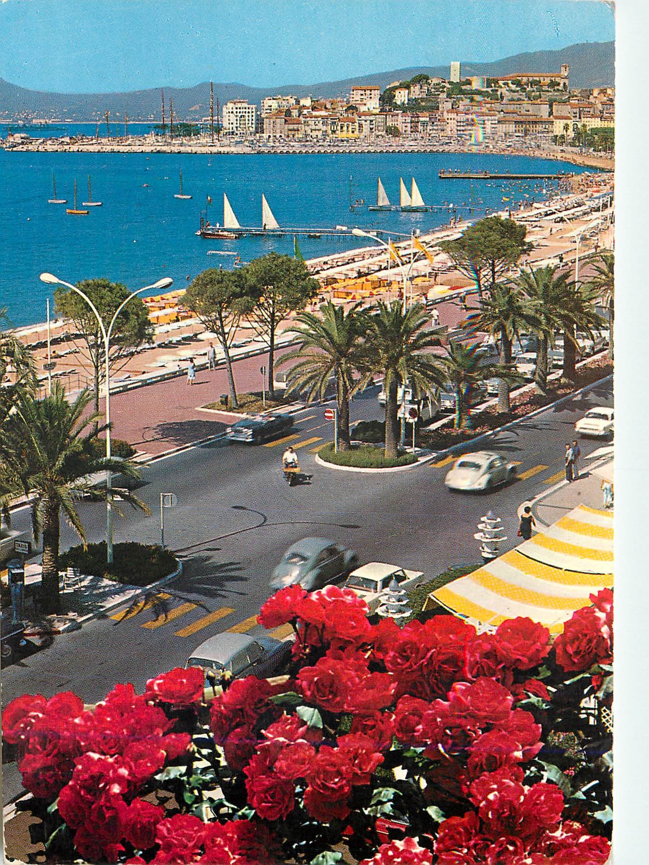 CPM Cannes Cote d'Azur French Riviera la Croisette au Fond le Suquet