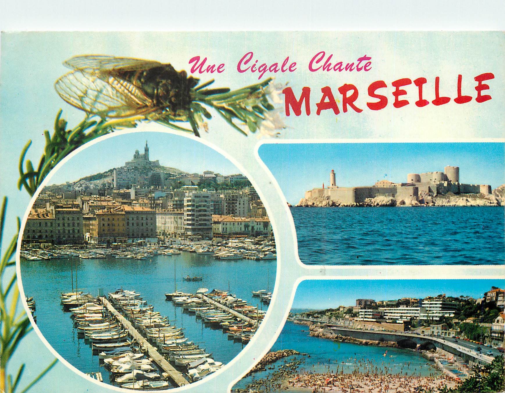 CPM Marseille Reflets de Provence le Vieux Port le Chateau d'If la Corniche une Cigale Chante