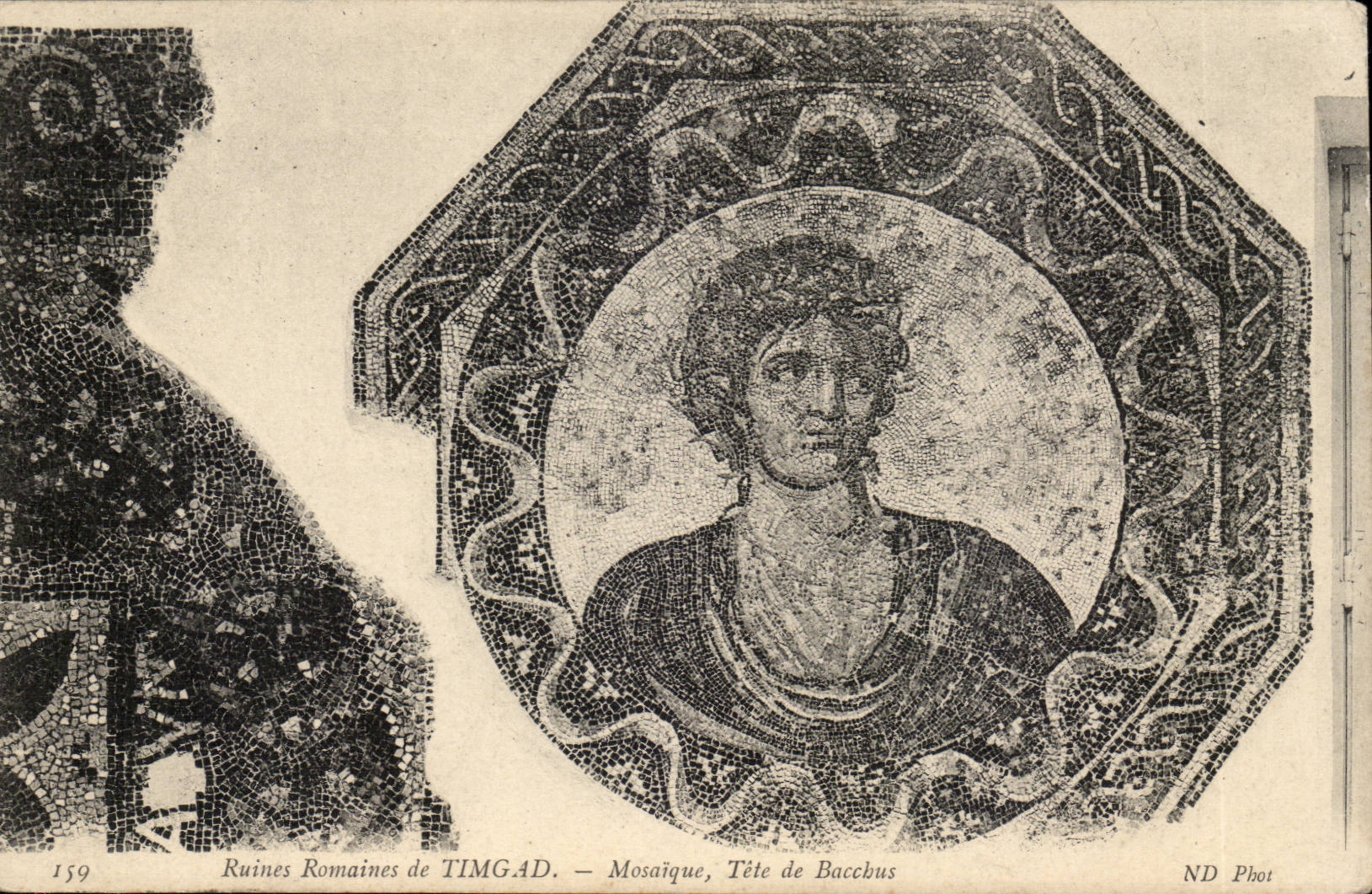 CPA Algerie Ruines romaines de Timgad Mosaique Tete de Bacchus
