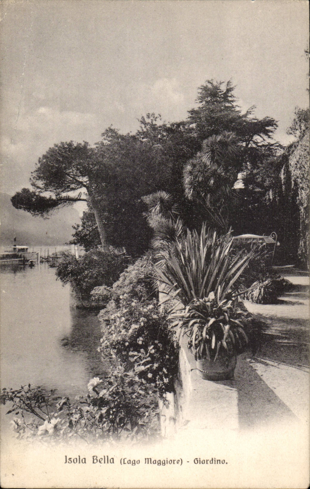 CPA Italie Italia isola Bella Lago maggiore Giardino