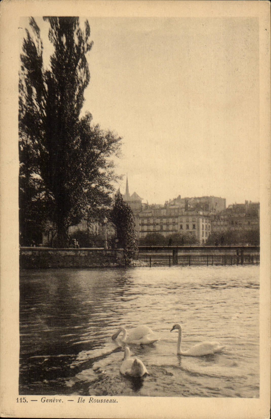 CPA Suisse Geneve Ile Rousseau Cygnes Swan