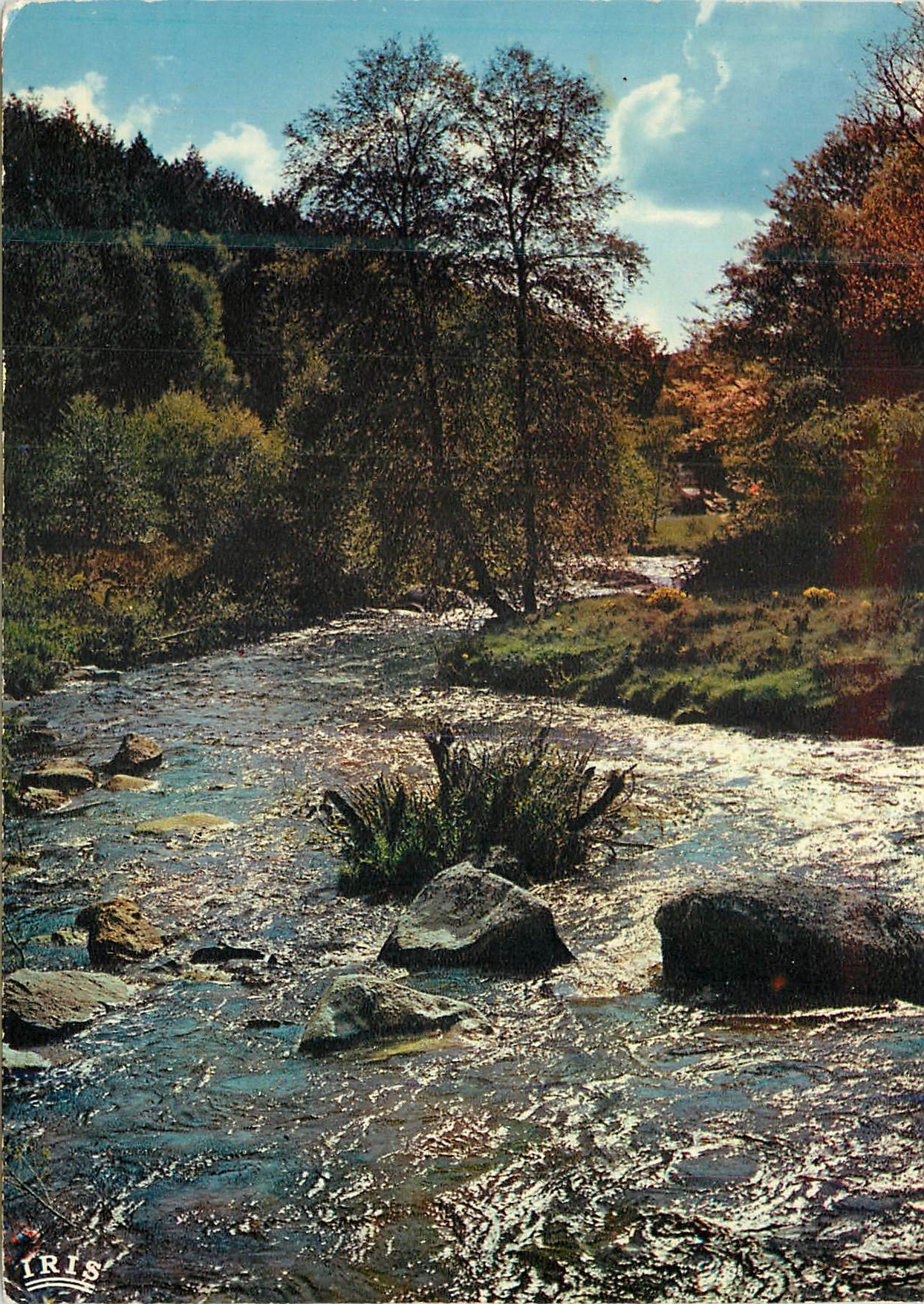 CPM Le Limousin Touristique Et le vallon voile de verdoyants 