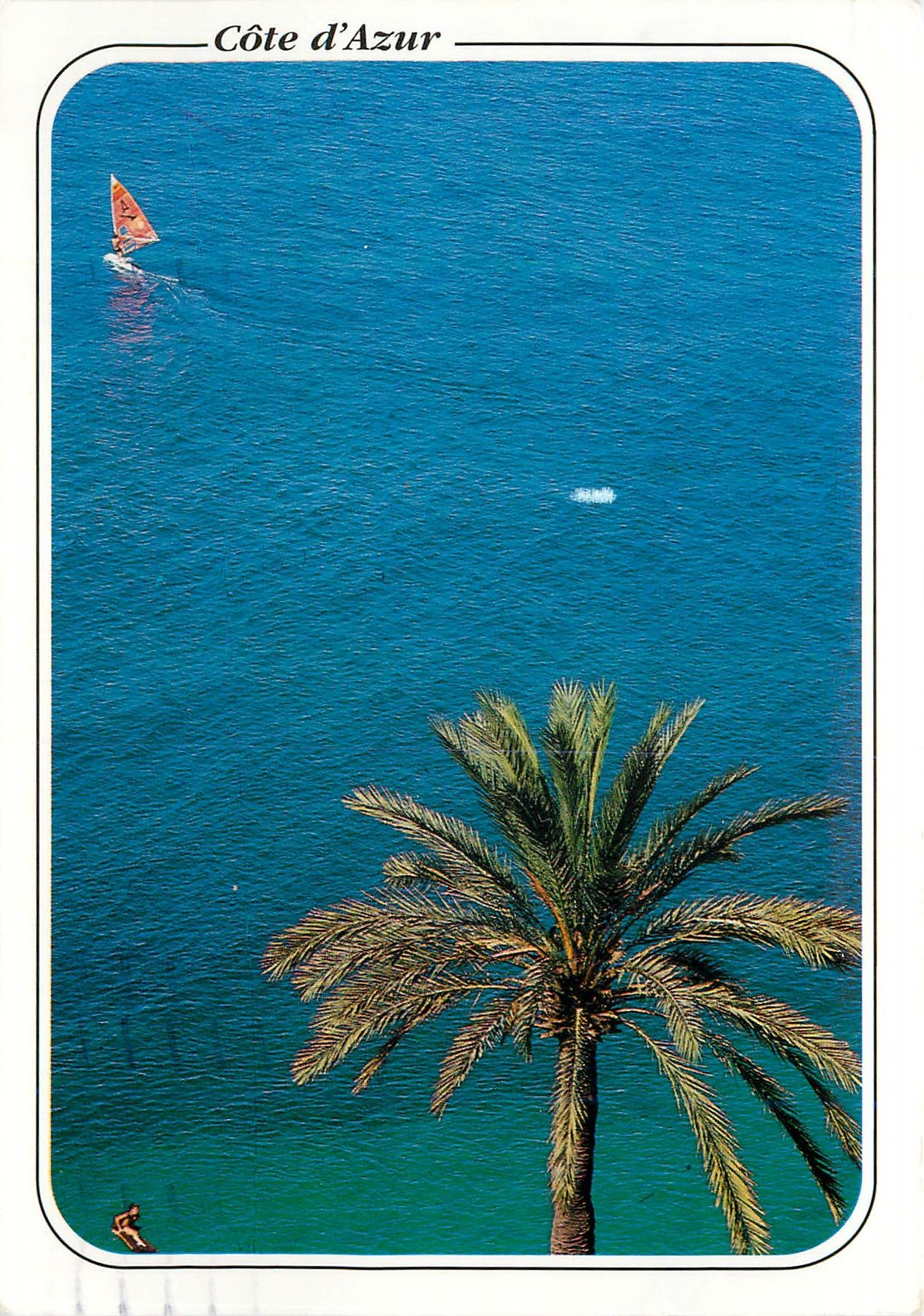 CPM Au soleil de la Cote d Azur 