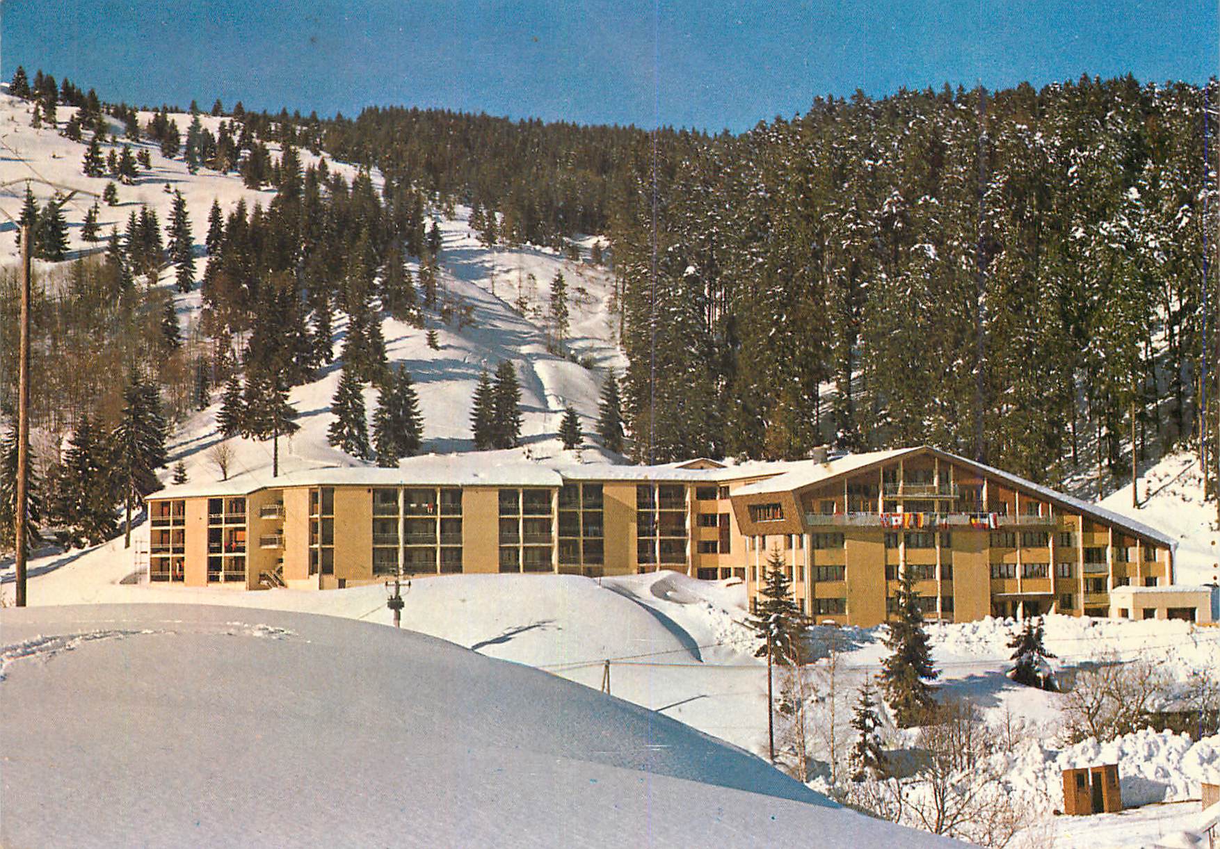 CPM Office departemental des Centres de Vacances et de Loisirs Chalet Le Pont du Mettu La Bresse 