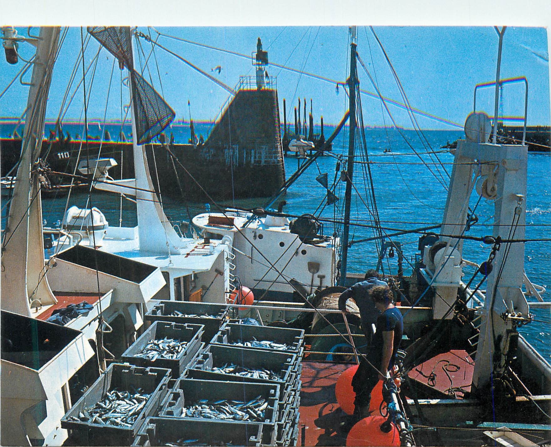 CPM La Turballe Loire Atlantique Retour des sardiniers Bateaux de peche