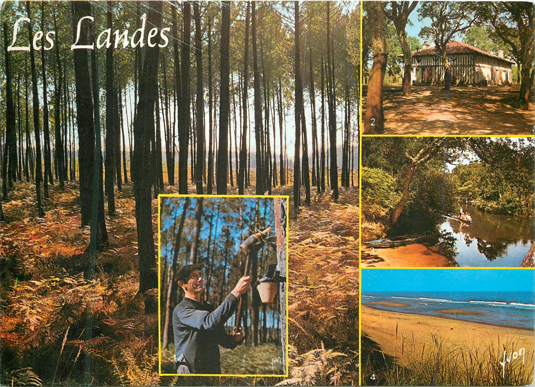 CPM Les Landes Un resinier Ferme Landaise Le Courant d Huchet Cote Atlantique 