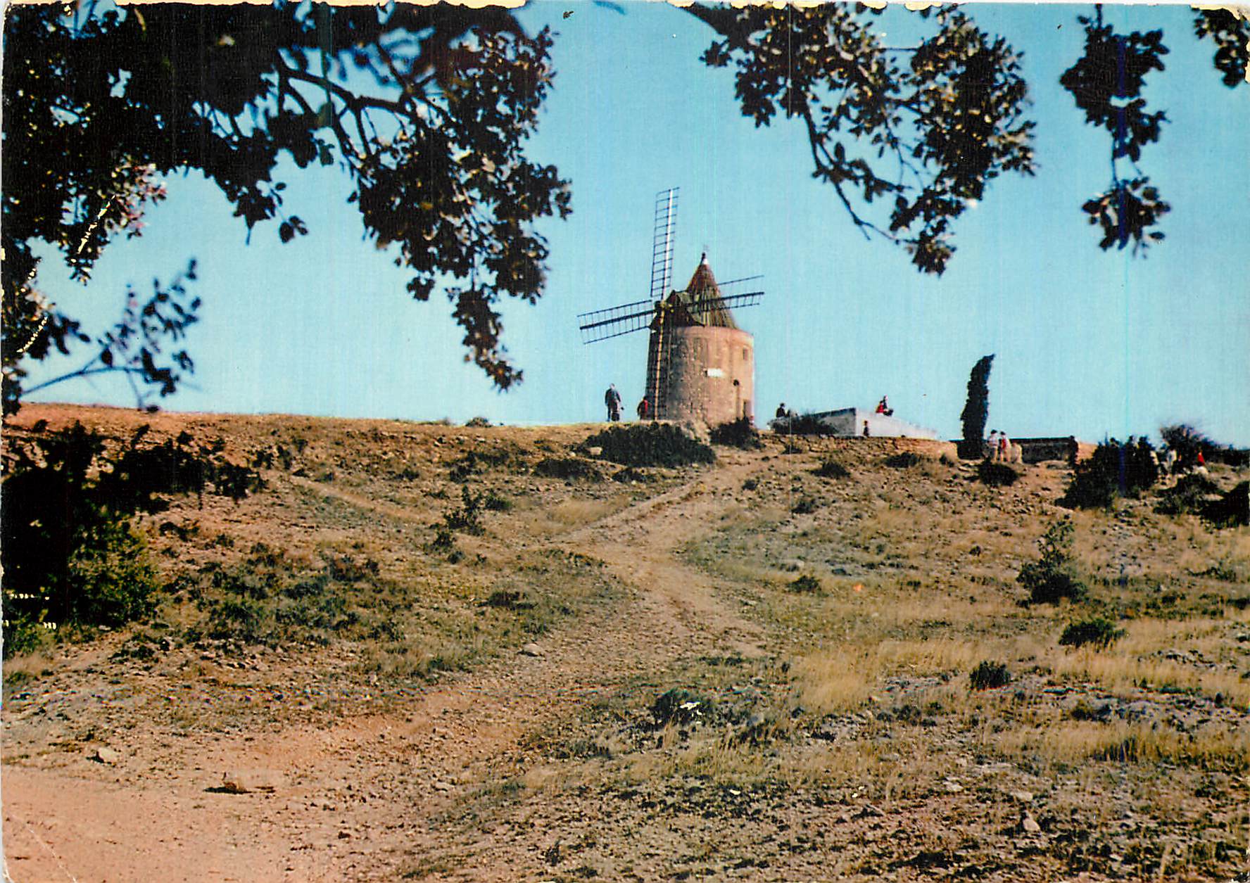 CPM Moulin de a Daudet 