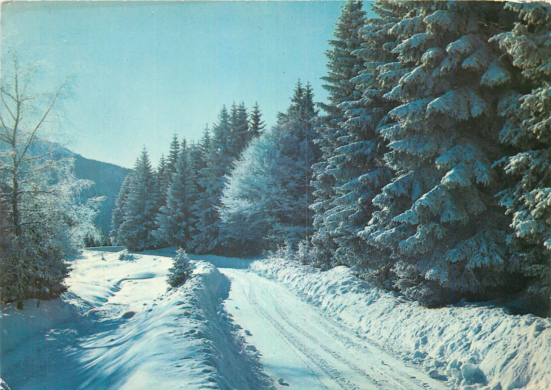 CPM L Hiver en Auvergne Route pittoresque en foret 