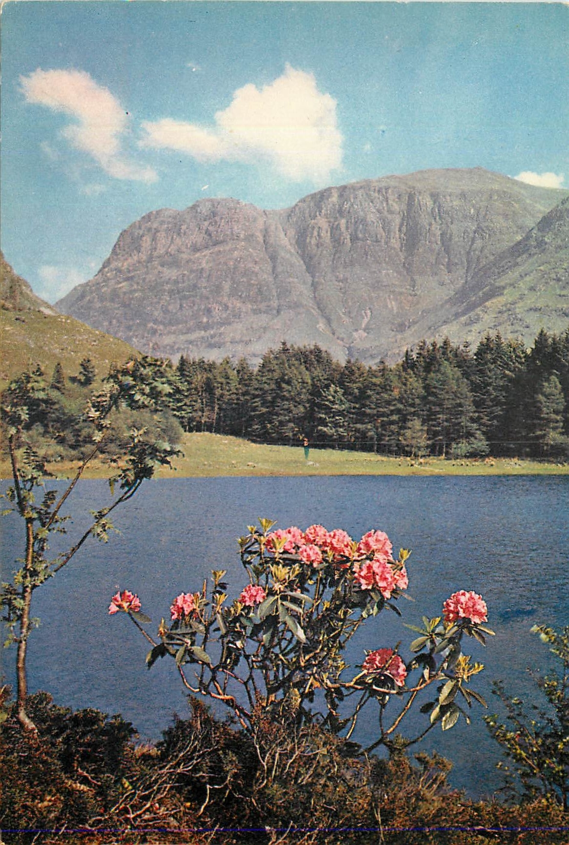 CPM Stob Coire an Lochan from Torren Lochan near Clachaig Glencoe Scotland 