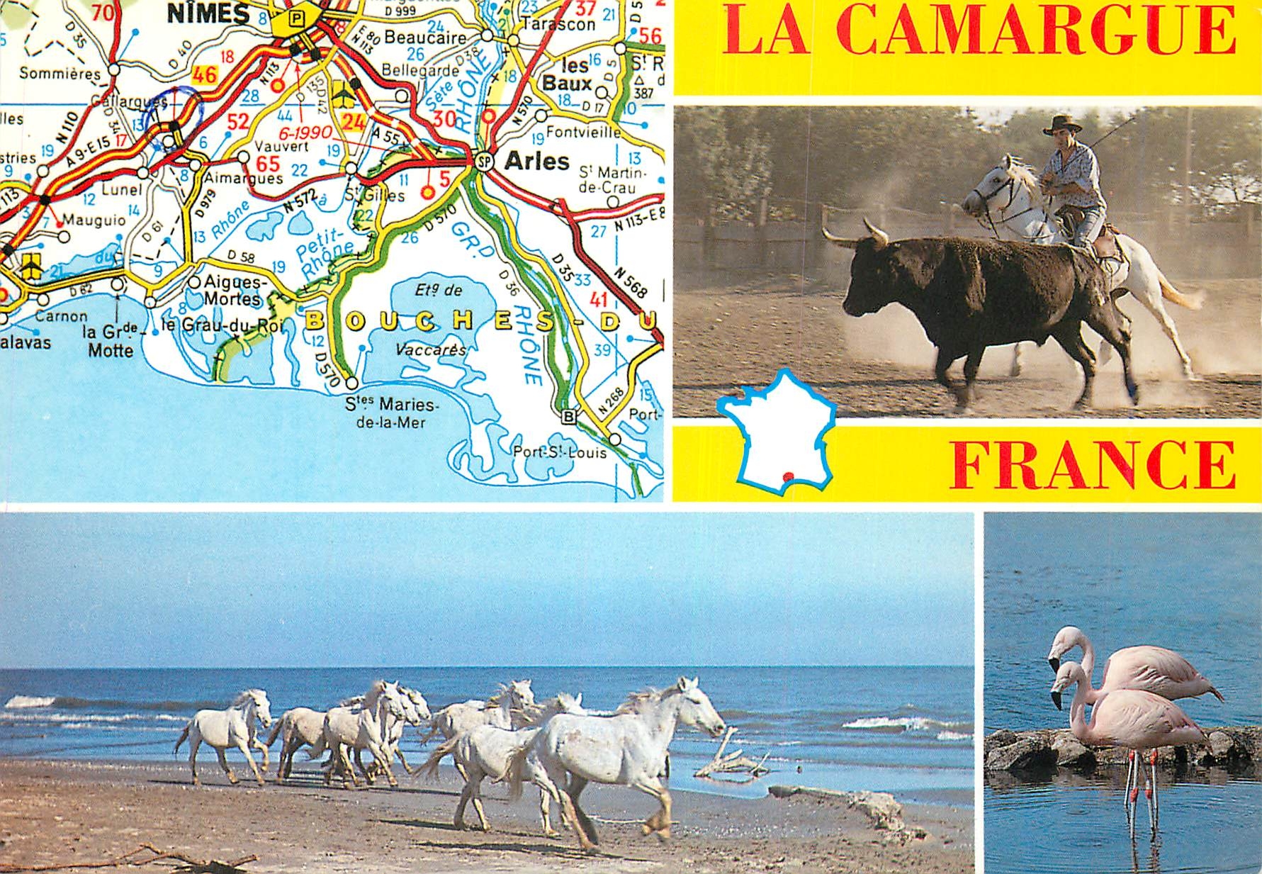 CPM Camargue Terre des grands espaces 