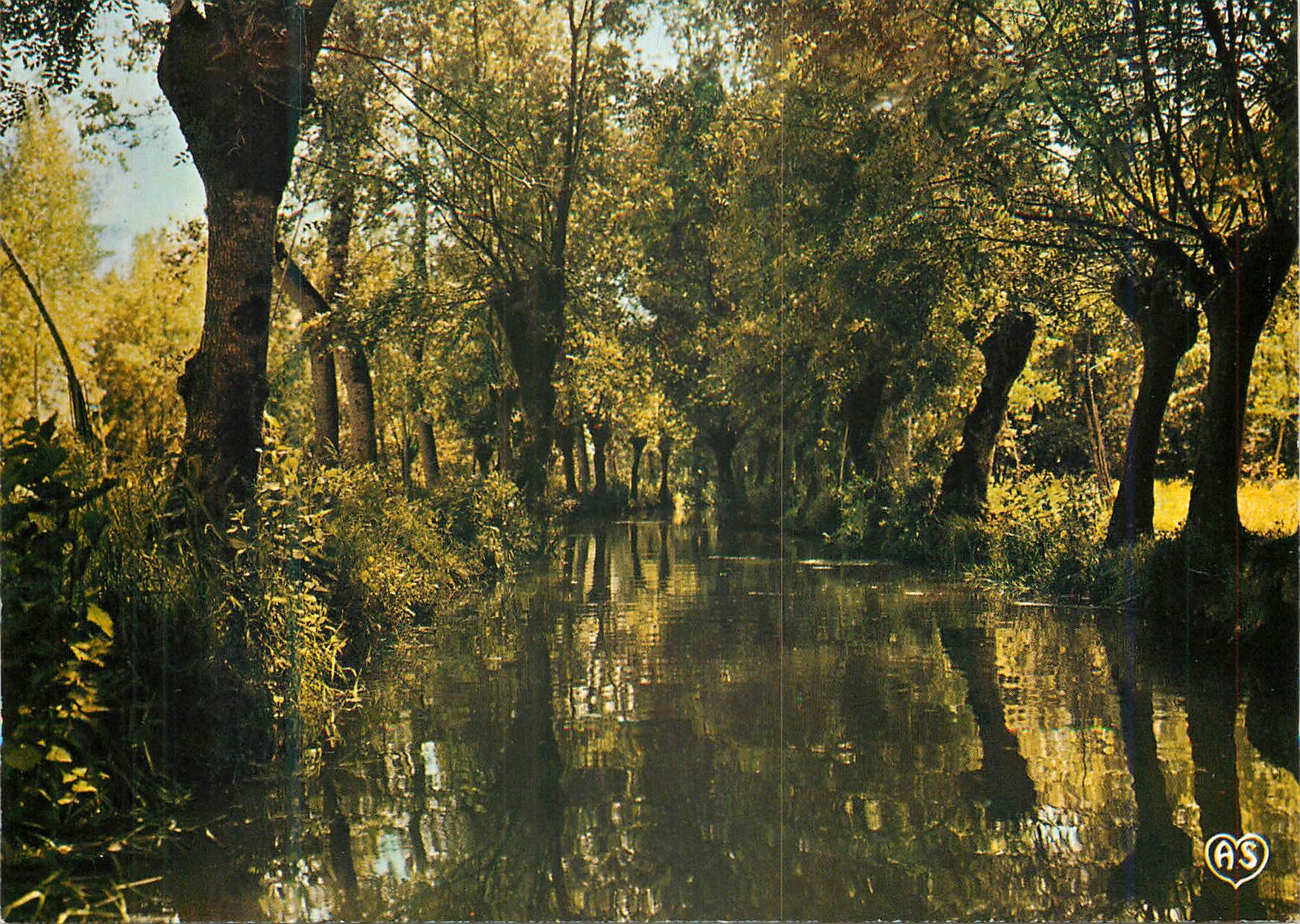CPM La Venise Verte Deux Sevres Conche a l interieur du Marais 