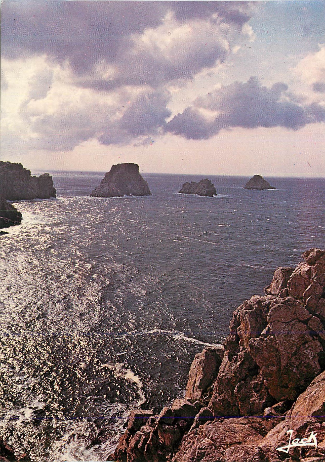 CPM La Presq uile de Crozon Camaret Les Tas de Pois 
