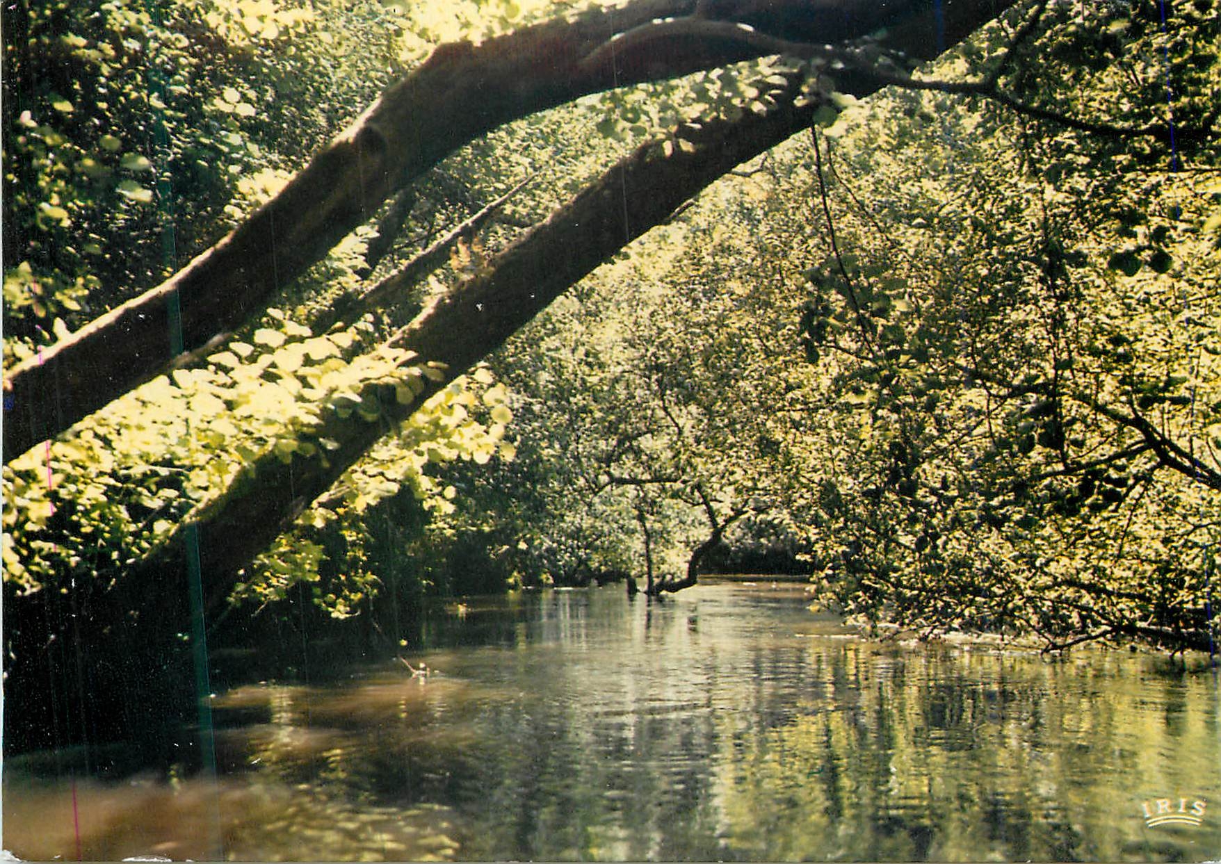CPM Cote Aquitaine Leon L Amazonie landaise Le courant d Huchet 