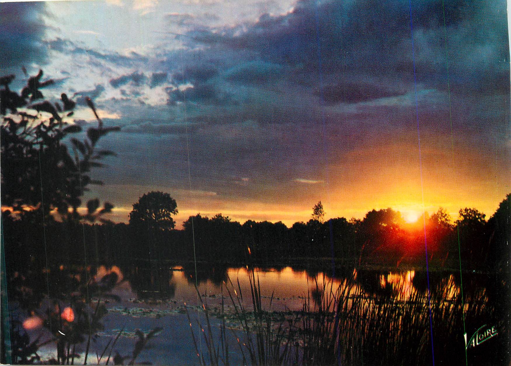 CPM En Sologne Coucher de soleil sur un etang 
