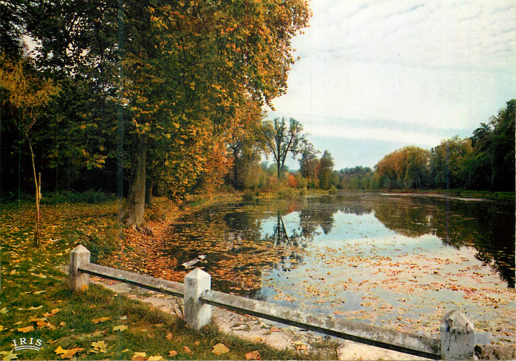 CPM Paysage en Foret Melancolie et douceur de l Automne 