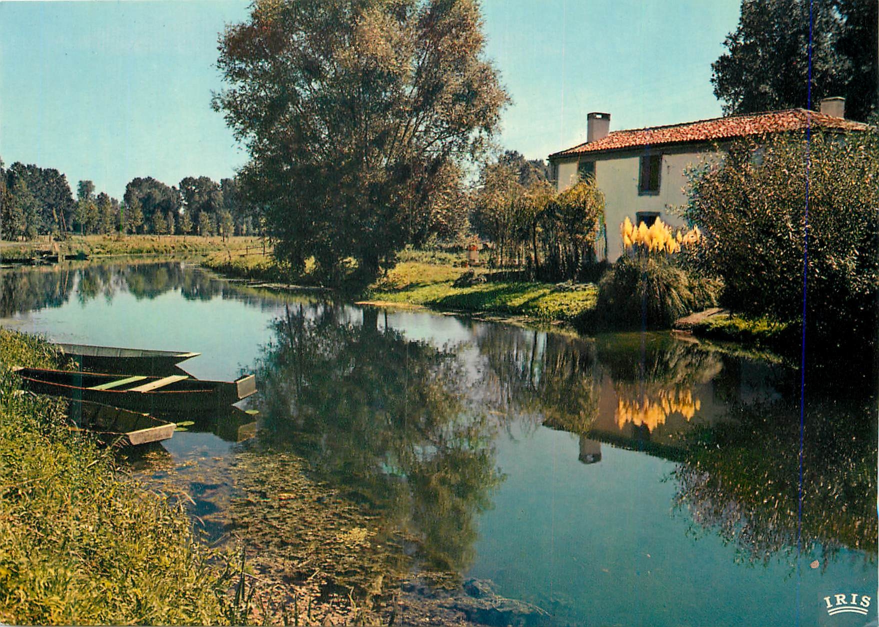 CPM Cathedrale de la Verdure Petite maison au ceour des marais 