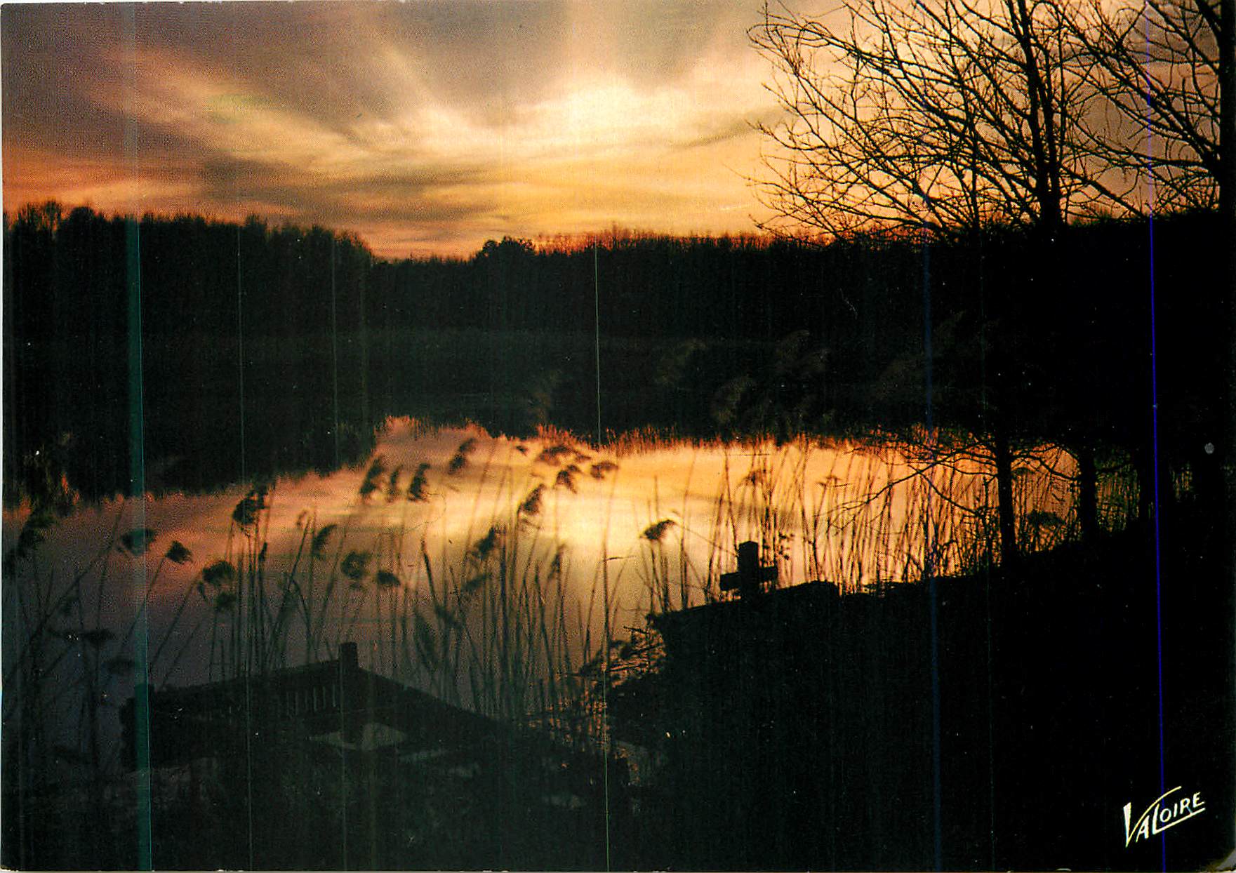 CPM En Sologne Coucher de soleil sur un etang 