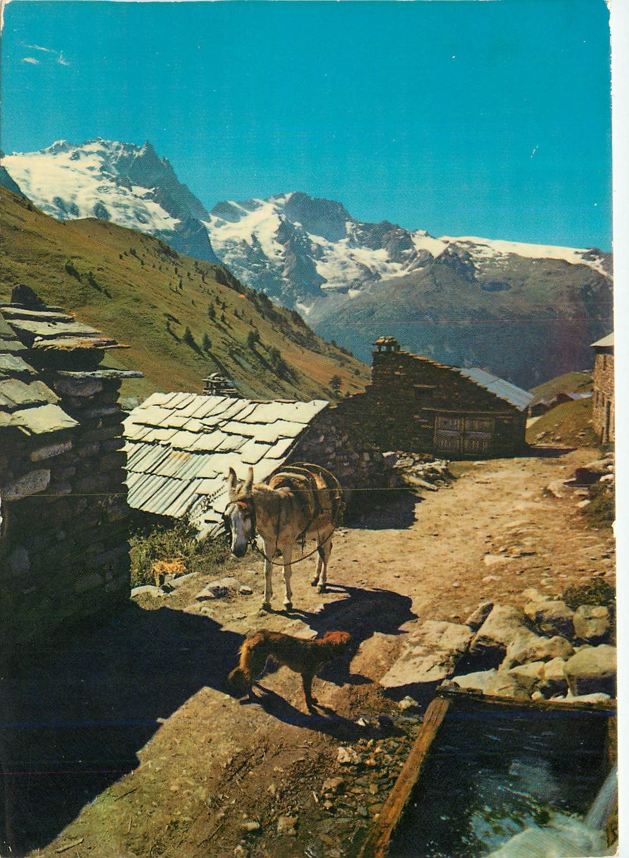 CPM Les Oisans Environs de la Grave Hameau sur le chemin pittoresque Ane Donkey