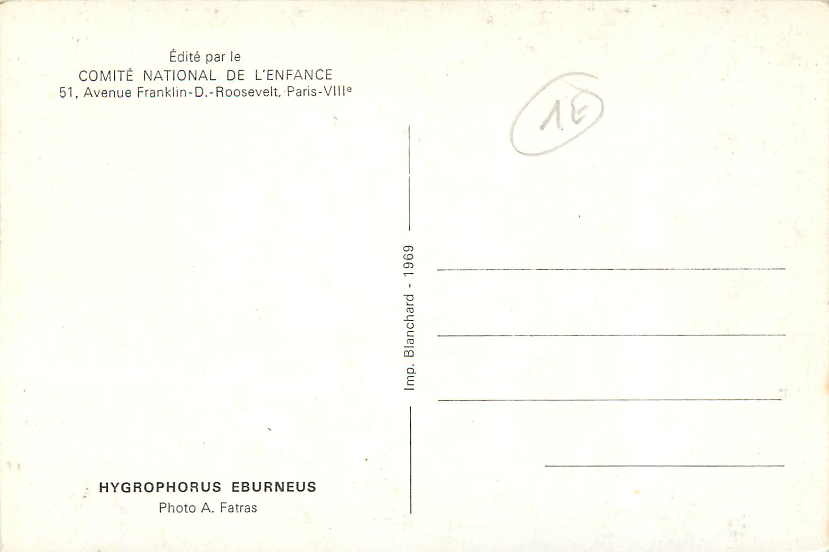 CPM Hygrophorus eburneus Champignon — Verso