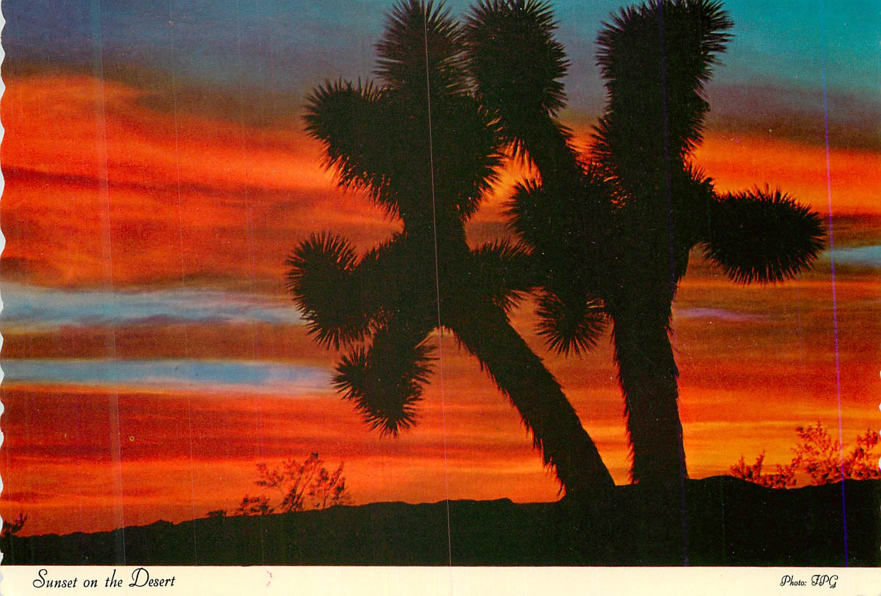 CPM Sunset on the Desert 