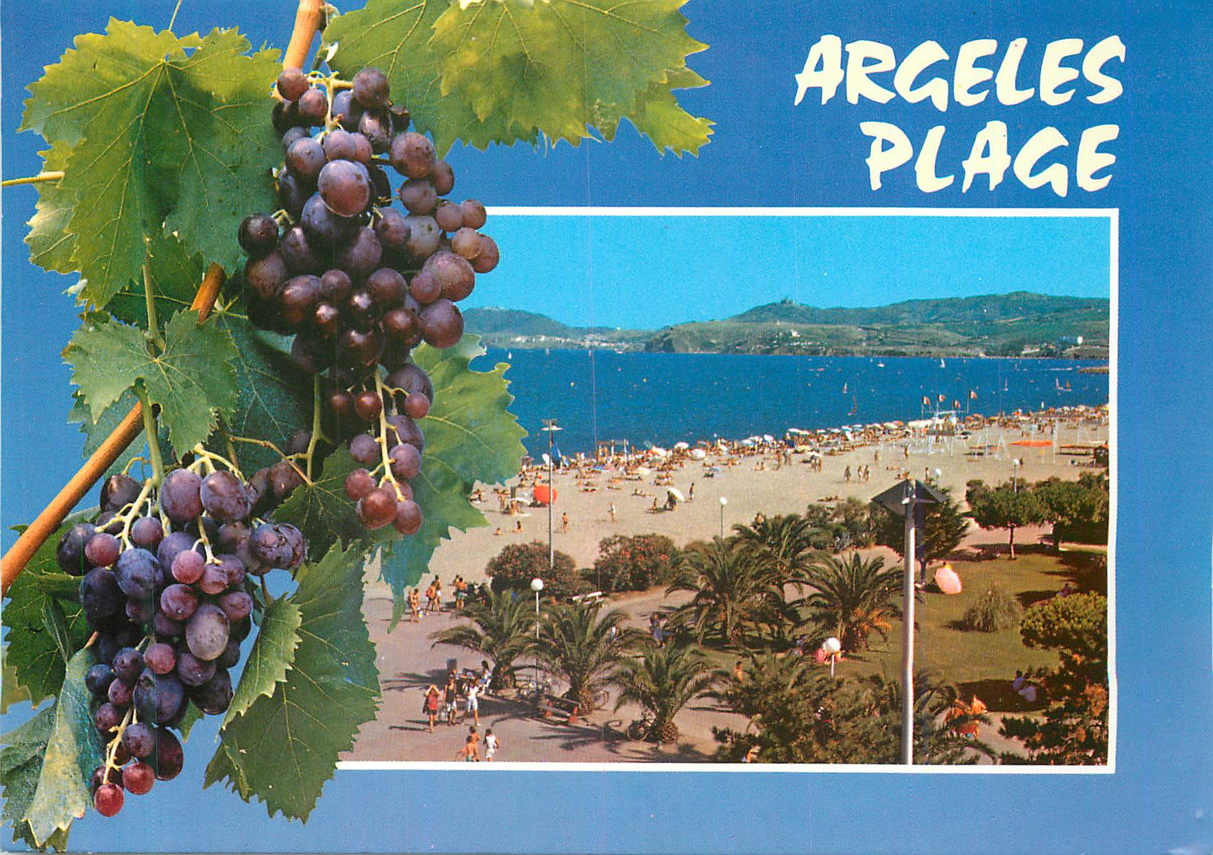 CPM Argeles sur Mer La plage au loin les Alberes 