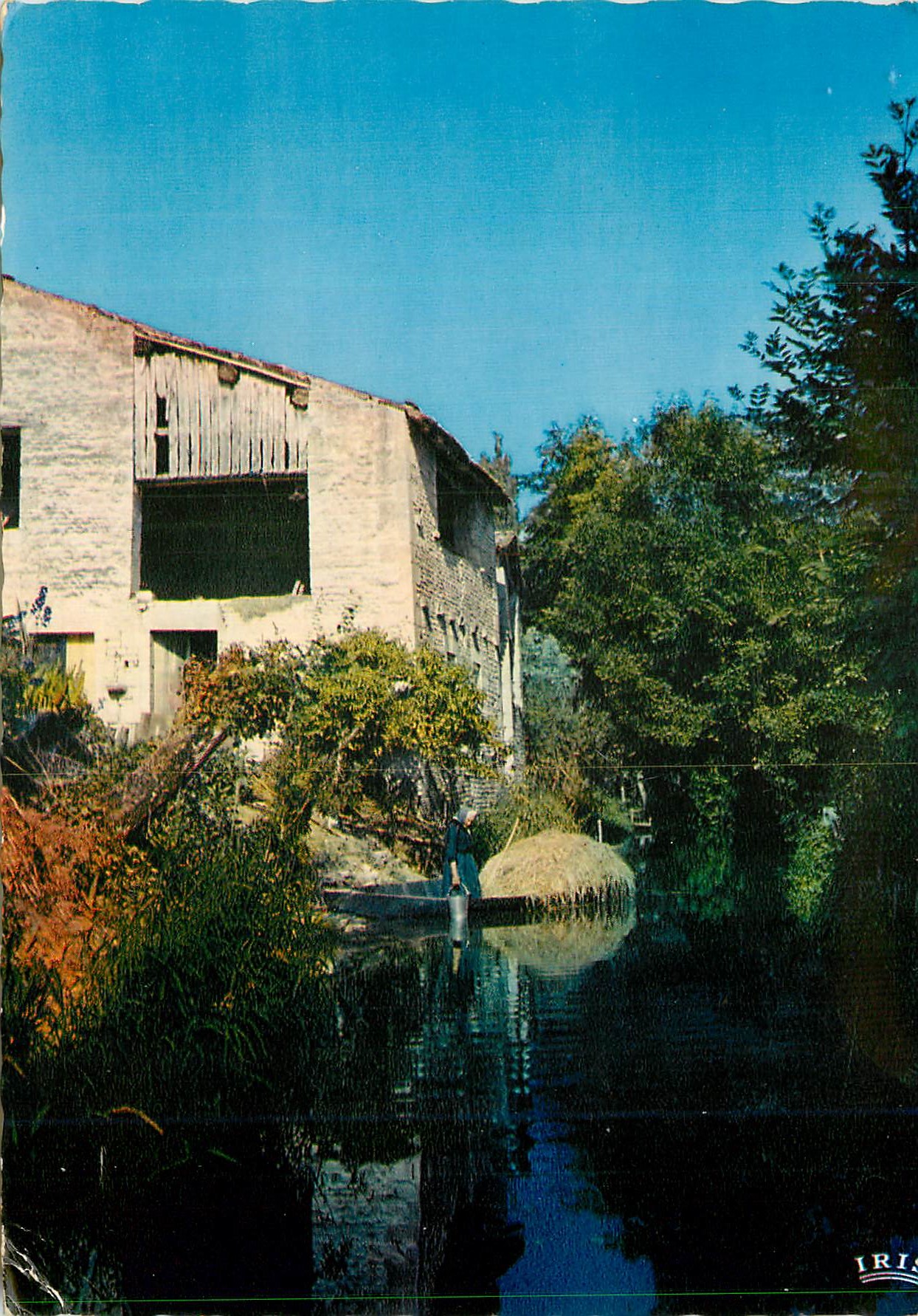 CPM Marais Poitevin La Venise Verte Route d eau du village de la Garette 