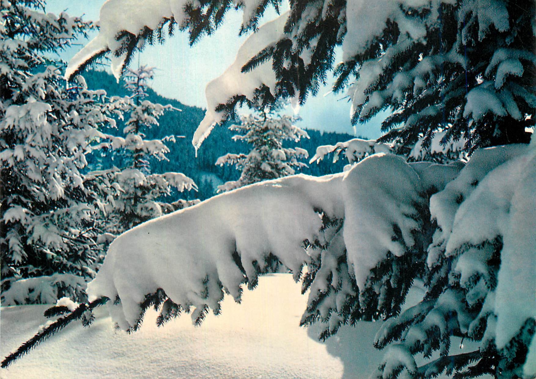 CPM Neige et Soleil Contre jour 