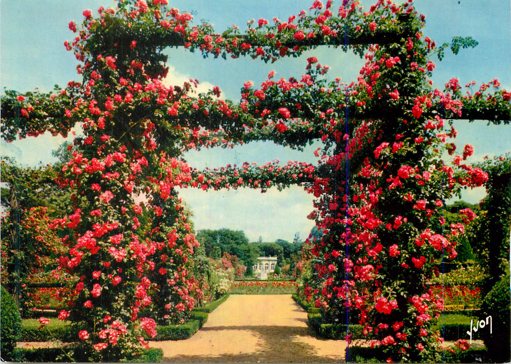 CPM Paris Bois de Boulogne La Roseraie de Bagatelle 
