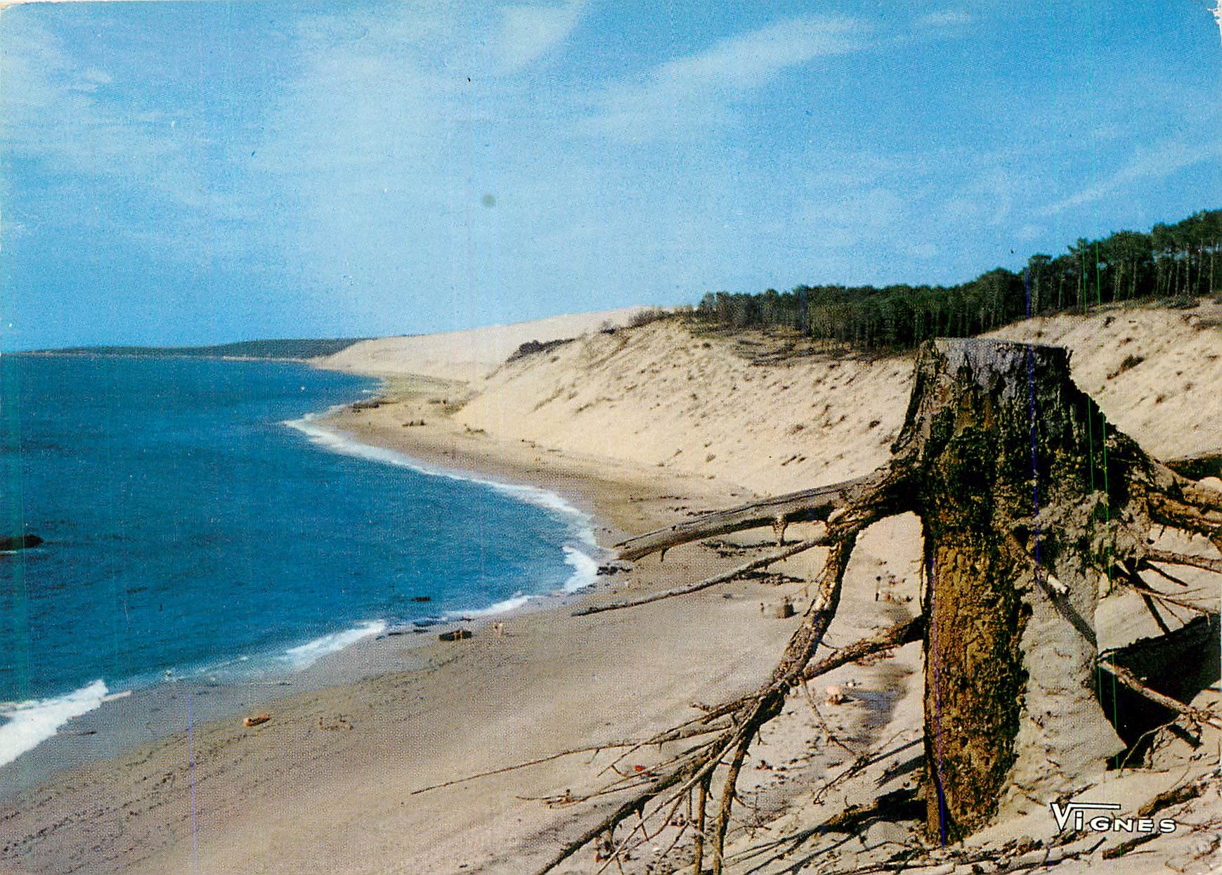 CPM Visage des Landes Cote d Argent Landaise 