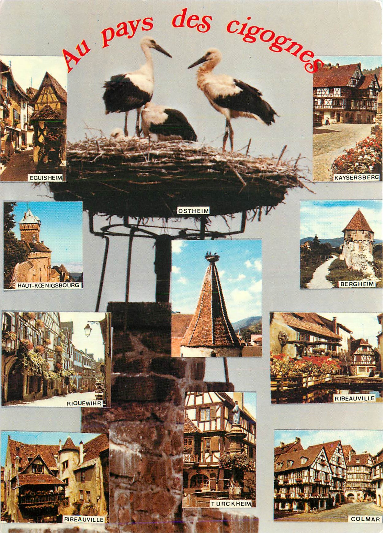 CPM Au pays des cigognes Eguisheim Haut Koenigsbourg Riquewihr Ribeauville Colmar Turckheim Bergheim