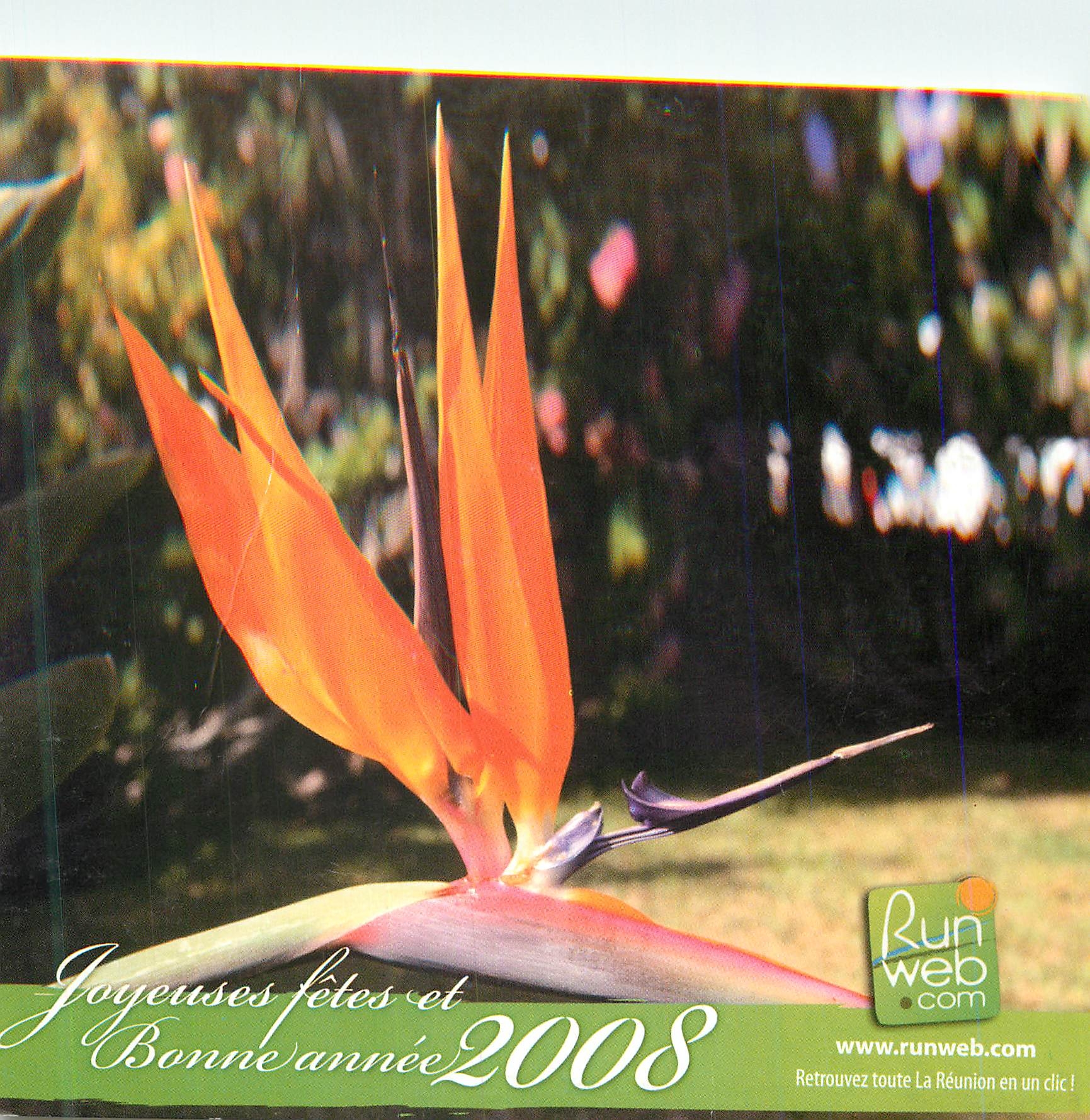 CPM Joyeuses fetes et Bonne Annee runweb.com La Reunion