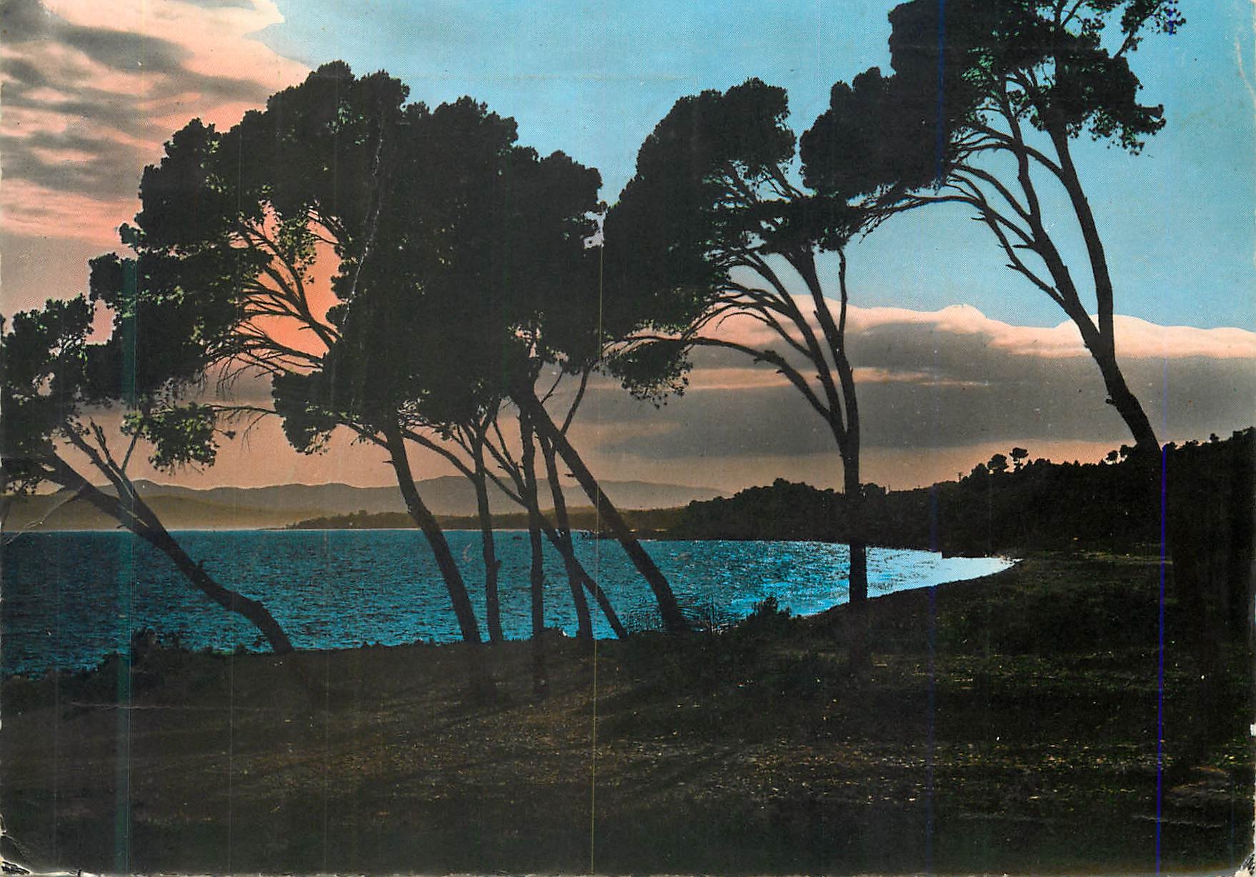 Sonnenuntergang durch die Kiefernwälder — Côte d'Azur — Éditions S.E.P.T. Bd Gorbellia, Nice