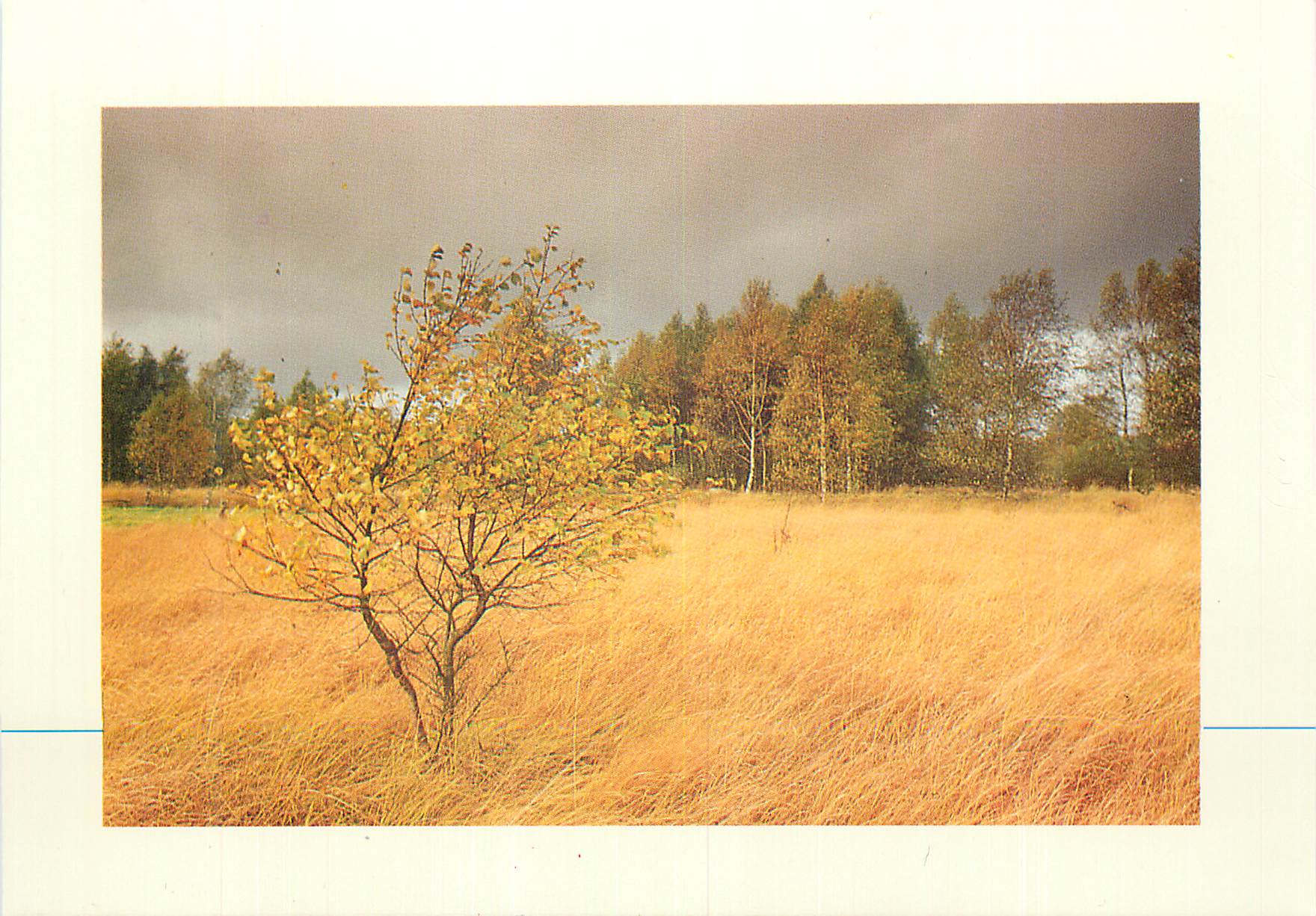 CPM Paysage