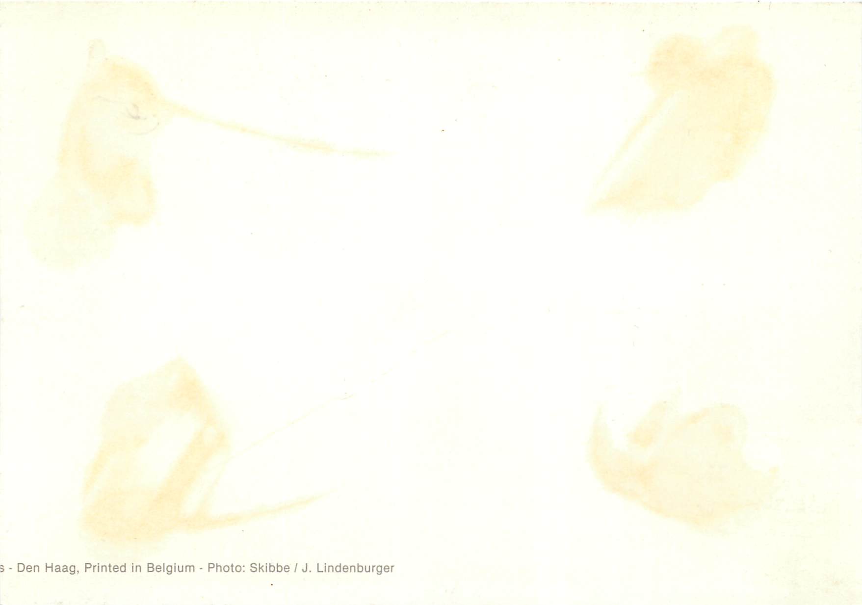 CPM Paysage — Verso
