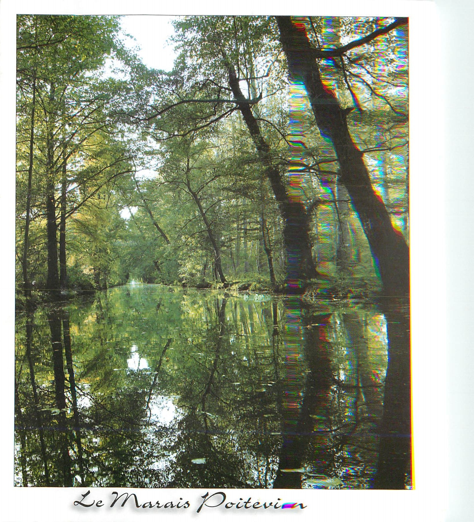 CPM Le Marais Poitevin Deux Sevres La Venise Verte 