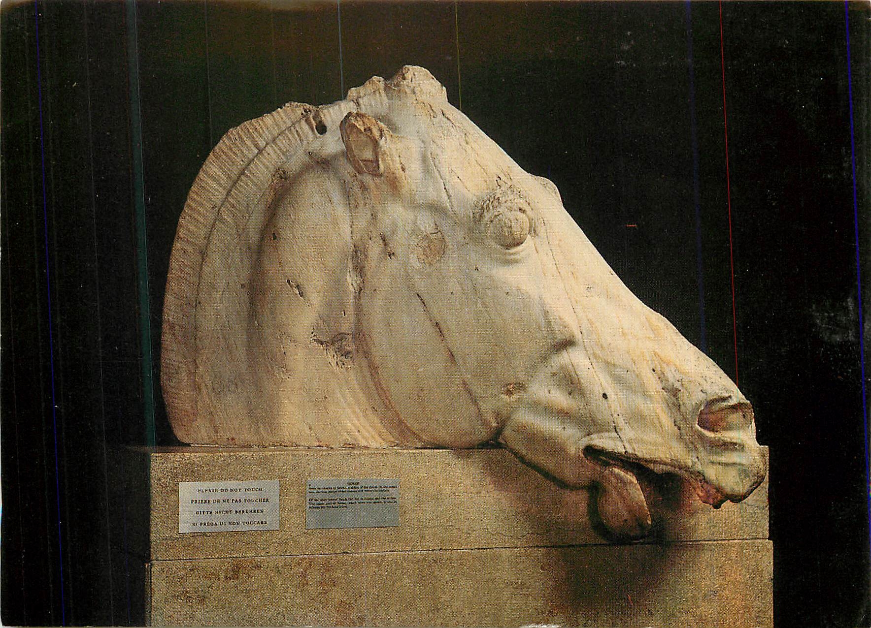CPM The British Museum Horse of Selene From the east pediment of the Parthenon 