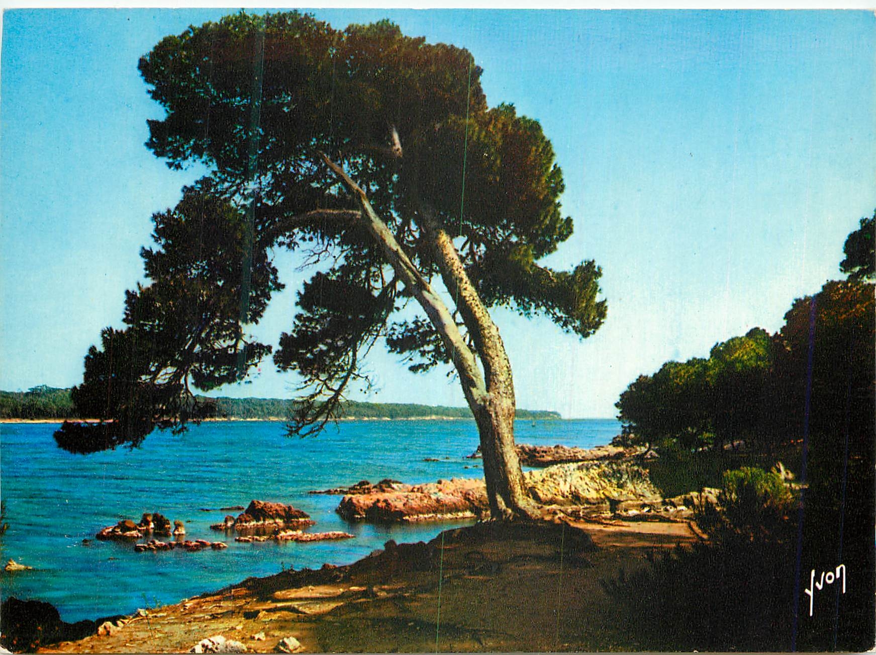 CPM Ile Saint Honorat AM Vue sur l ile Sainte Marguerite 
