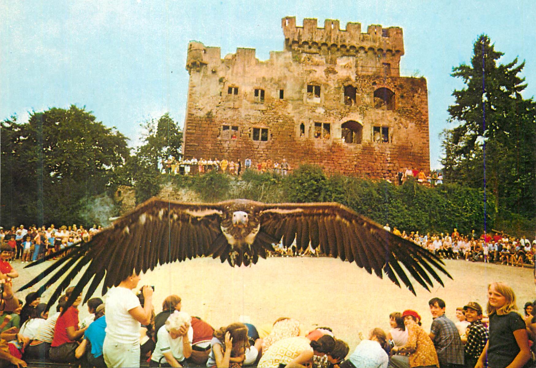CPM Vautour Oricou Chateau de Kintzheim Alsace Rapace