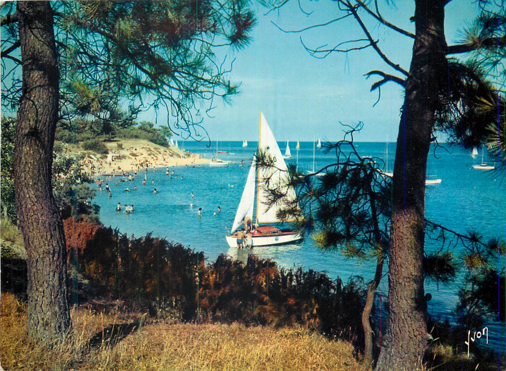 CPM Ile de Re Charente Maritime La Plage de Trouse Chemise et la pointe du Fiers d Ars 