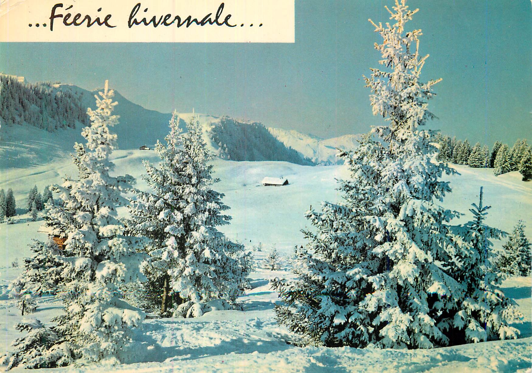 CPM Feerie hivernale 