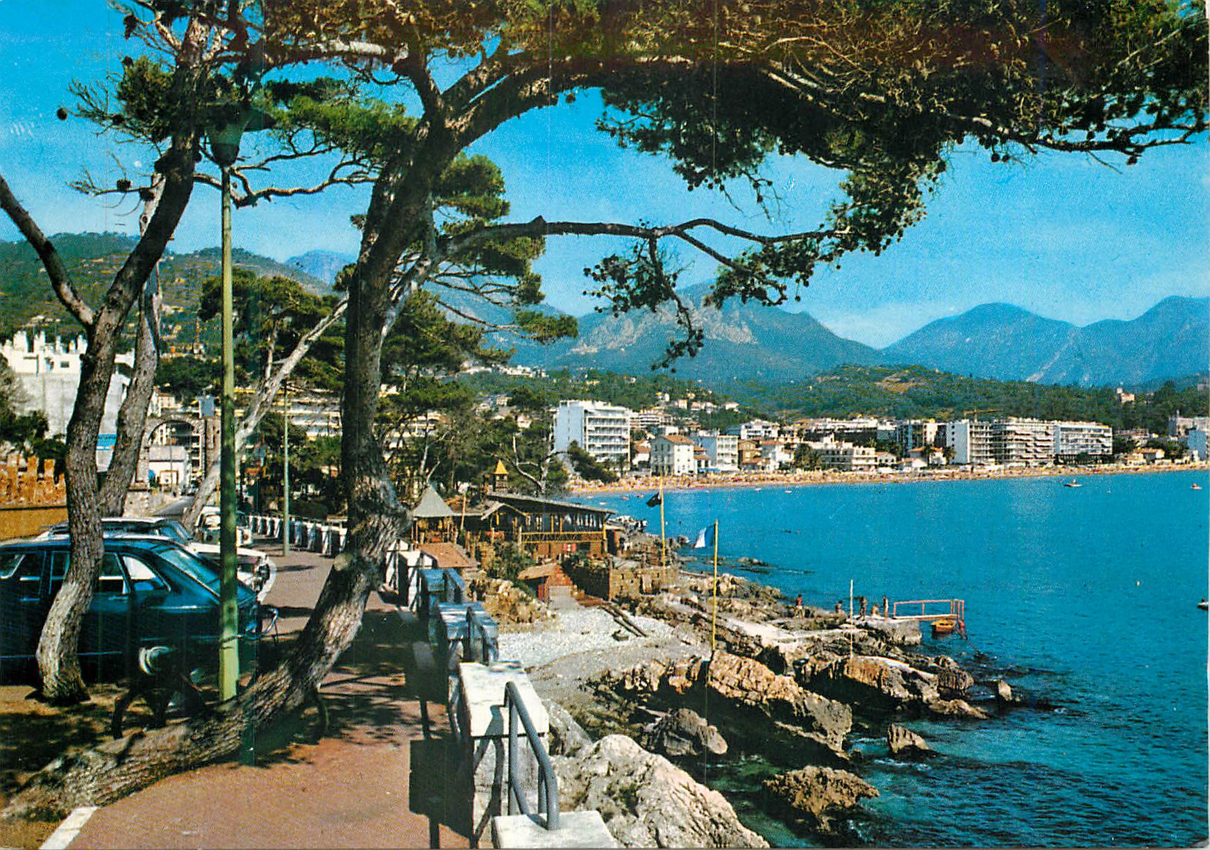 CPM Cote d Azur Le Cap Martin et ses pins penches Au fond Roquebrune Carnoles 