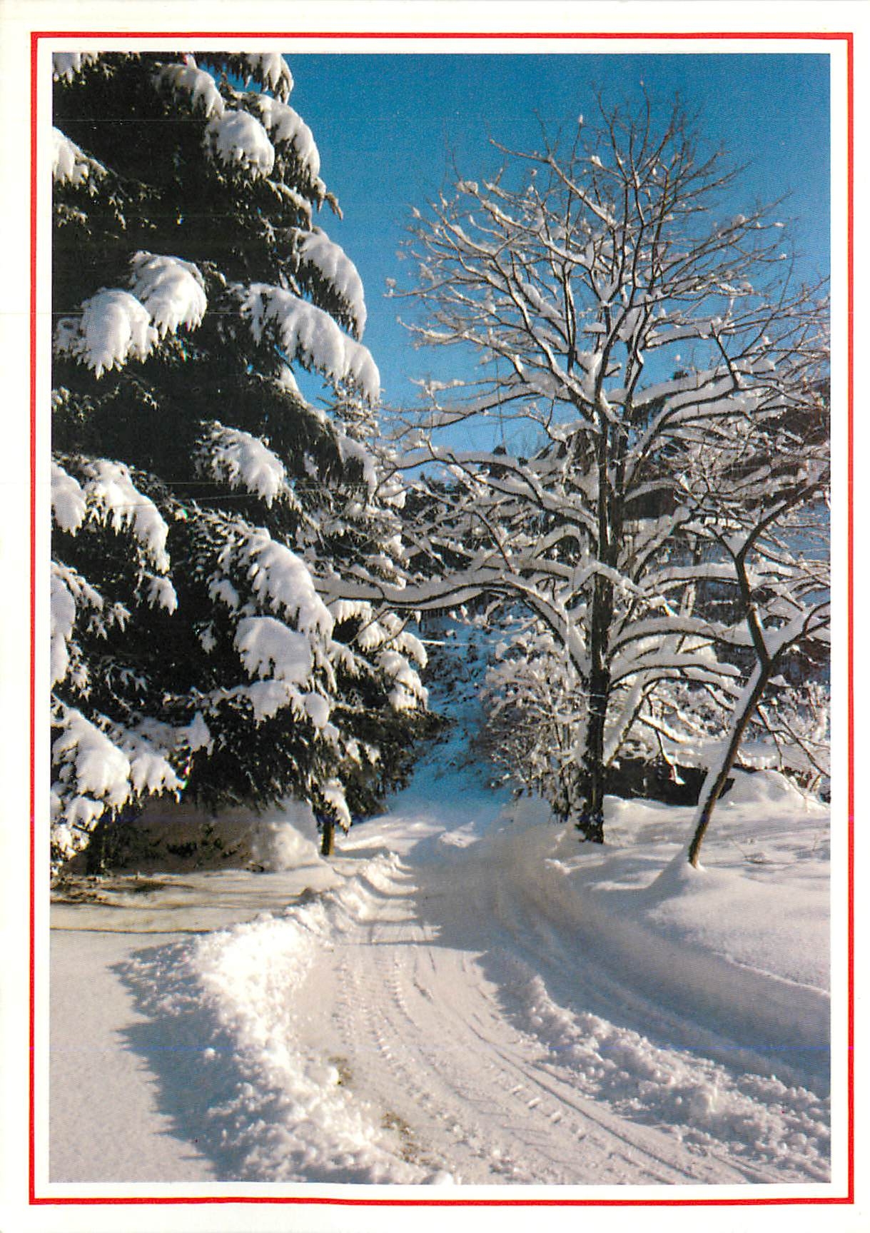 CPM Arbres sous la neige